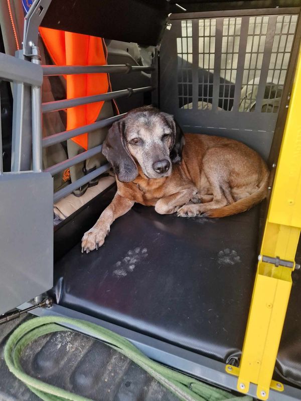 hundematte 123x75x5cm