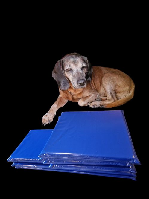 Hovedbilde Hundematte 80x70