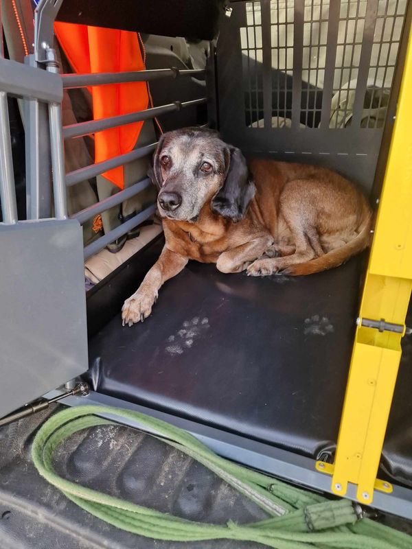 Hundematte  155 cm x 44 cm